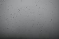 DSC_0970.JPG
