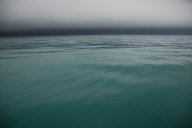 DSC_1338a.jpg