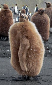Antarctica 2005